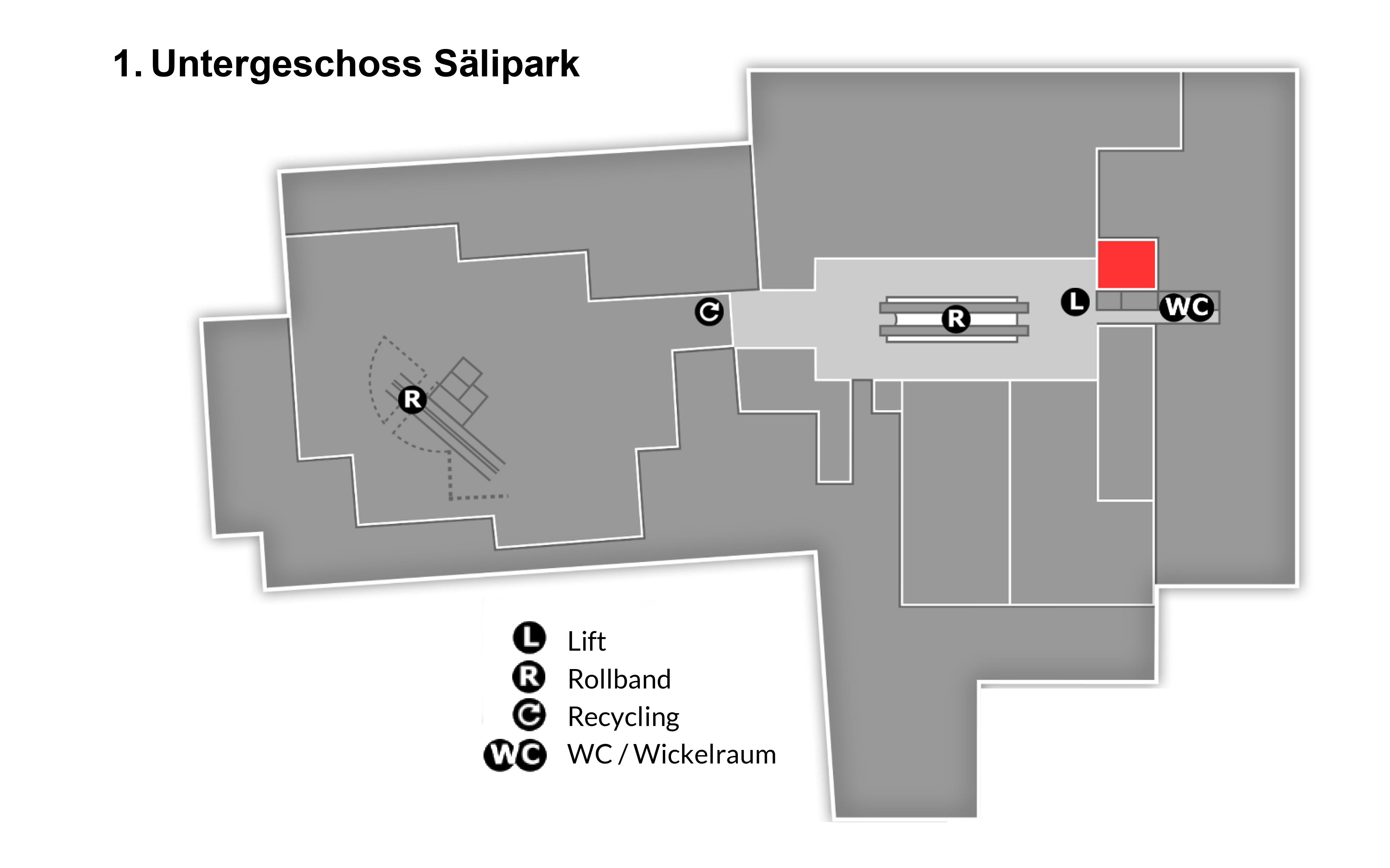 Plan-U-Chicoree
